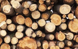 Usar madera para el crecimiento de los bosques.